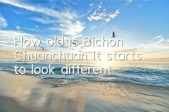 THow old is Bichon Chuanchuan? It starts to look different.