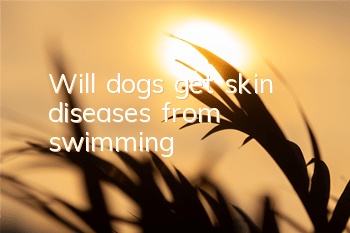 Will dogs get skin diseases from swimming?
