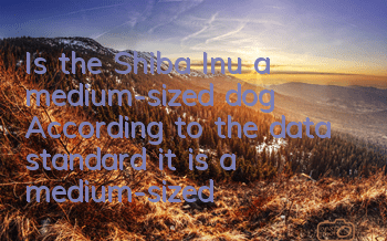 Is the Shiba Inu a medium-sized dog? According to the data standard, it is a medium-sized dog.