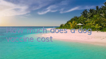 THow much does a dog vaccine cost?