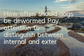 How often should dogs be dewormed? Pay attention to distinguish between internal and external bodies!
