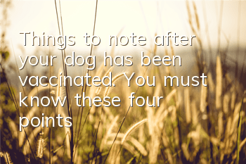 Things to note after your dog has been vaccinated. You must know these four points!