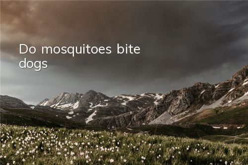 TDo mosquitoes bite dogs?