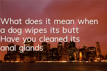 TWhat does it mean when a dog wipes its butt? Have you cleaned its anal glands?
