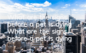 What are the signs before a pet is dying? What are the signs before a pet is dying?
