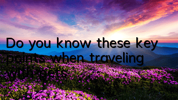 TDo you know these key points when traveling with pets?