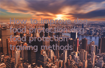 THow to improve dog food protection, dog food protection training methods!