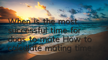 When is the most successful time for dogs to mate? How to calculate mating time?