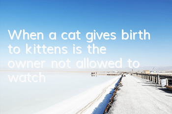 When a cat gives birth to kittens, is the owner not allowed to watch?