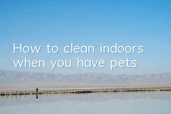 How to clean indoors when you have pets?