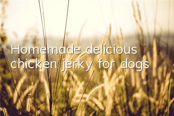 THomemade delicious chicken jerky for dogs