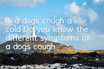 Is a dog’s cough a cold? Do you know the different symptoms of a dog’s cough?