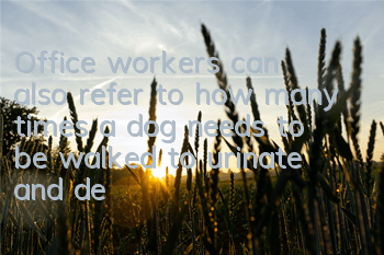Office workers can also refer to how many times a dog needs to be walked to urinate and defecate in a day!