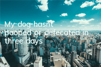 My dog ​​hasn’t pooped or defecated in three days