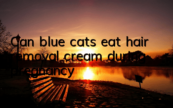Can blue cats eat hair removal cream during pregnancy?