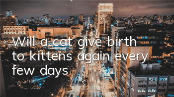 Will a cat give birth to kittens again every few days?