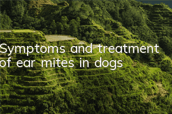 TSymptoms and treatment of ear mites in dogs