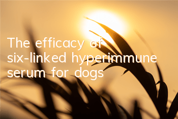 The efficacy of six-linked hyperimmune serum for dogs