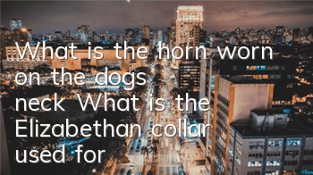 TWhat is the horn worn on the dog's neck? What is the Elizabethan collar used for?