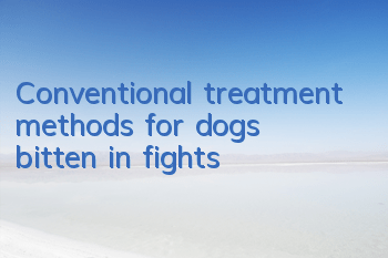 TConventional treatment methods for dogs bitten in fights