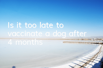 Is it too late to vaccinate a dog after 4 months?