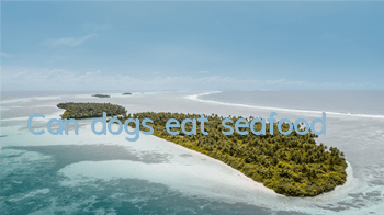 TCan dogs eat seafood?