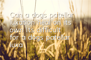 Can a dog’s patellar luxation heal on its own? It’s difficult for a dog’s patellar luxation to heal on its own.