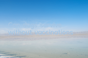 Can dogs survive without vaccinations?