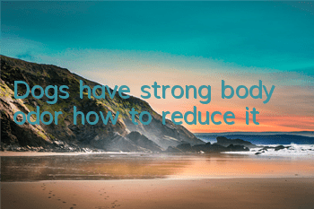Dogs have strong body odor, how to reduce it