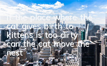 If the place where the cat gives birth to kittens is too dirty, can the cat move the nest?