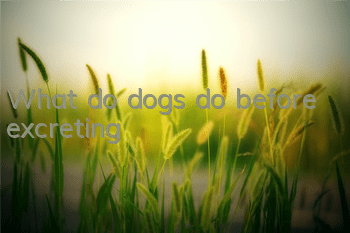 What do dogs do before excreting?