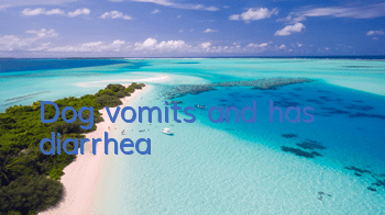 Dog vomits and has diarrhea