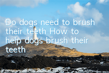 Do dogs need to brush their teeth? How to help dogs brush their teeth?