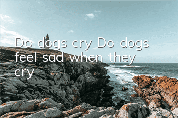 TDo dogs cry? Do dogs feel sad when they cry?