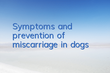TSymptoms and prevention of miscarriage in dogs