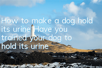 THow to make a dog hold its urine? Have you trained your dog to hold its urine?