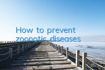 How to prevent zoonotic diseases