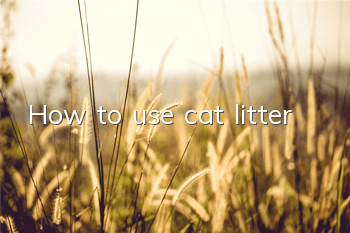 How to use cat litter