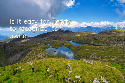 Is it easy for Teddy to recognize its owner?
