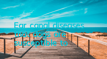 Ear canal diseases that dogs are susceptible to