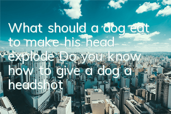 TWhat should a dog eat to make his head explode? Do you know how to give a dog a headshot?
