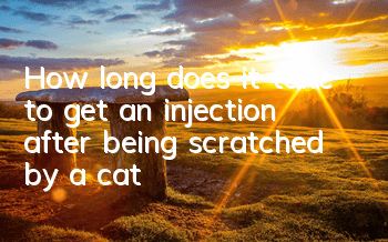 How long does it take to get an injection after being scratched by a cat?