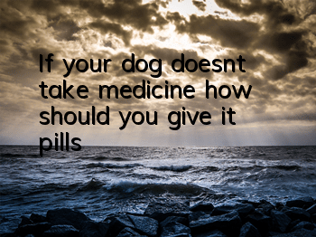 If your dog doesn’t take medicine, how should you give it pills?