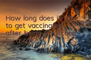 How long does it take to get vaccinated after being scratched by a cat?