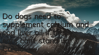 Do dogs need to supplement calcium and cod liver oil if their ears can’t stand up? Calcium supplementation is the key