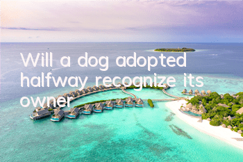 TWill a dog adopted halfway recognize its owner?