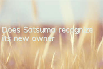 Does Satsuma recognize its new owner?