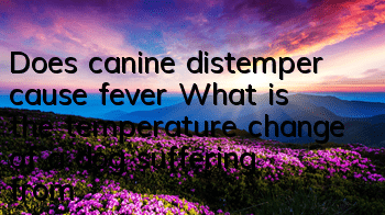 Does canine distemper cause fever? What is the temperature change of a dog suffering from canine distemper?