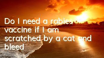 Do I need a rabies vaccine if I am scratched by a cat and bleed?