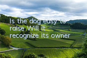 Is the dog easy to raise? Will it recognize its owner?